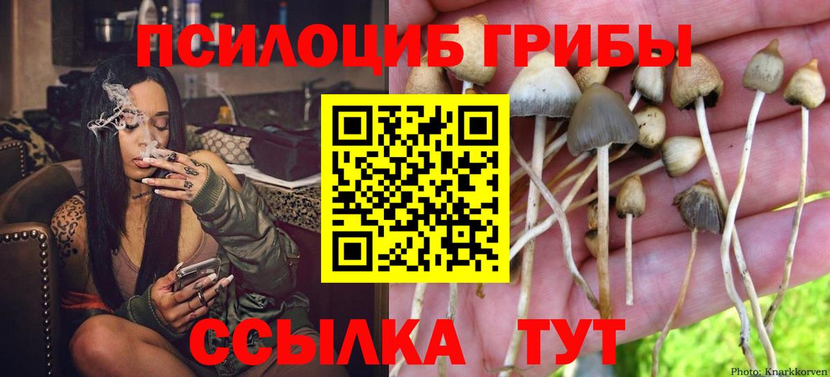 Псилоцибиновые грибы MAGIC MUSHROOMS  Вход с VPN  Сокол  Галлюциногенные грибы Magic Shrooms 